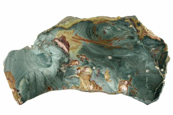 Gary Green Jasper (Larsonite) Bog Wood Slab - Oregon #263466